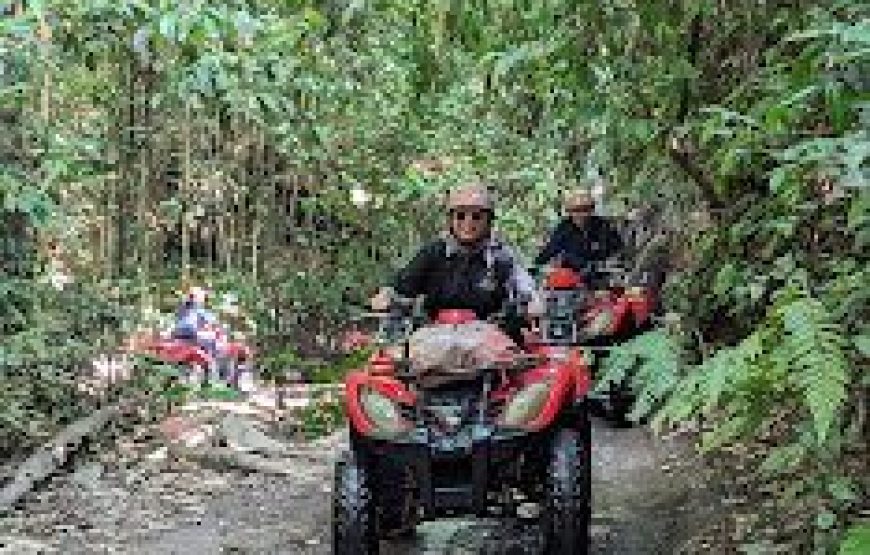 Ubud Off Road ATV Adventure