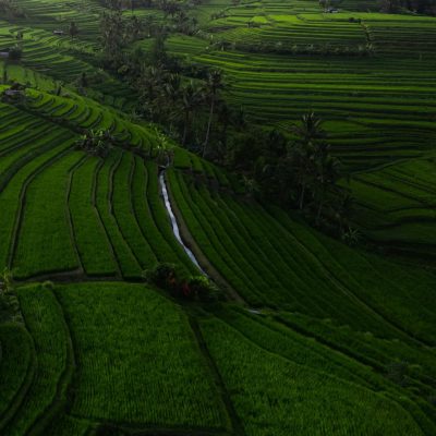 Jatiluwih Rice Terrace