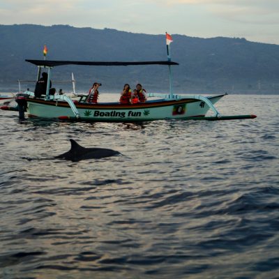 Lovina Dolphin Watching