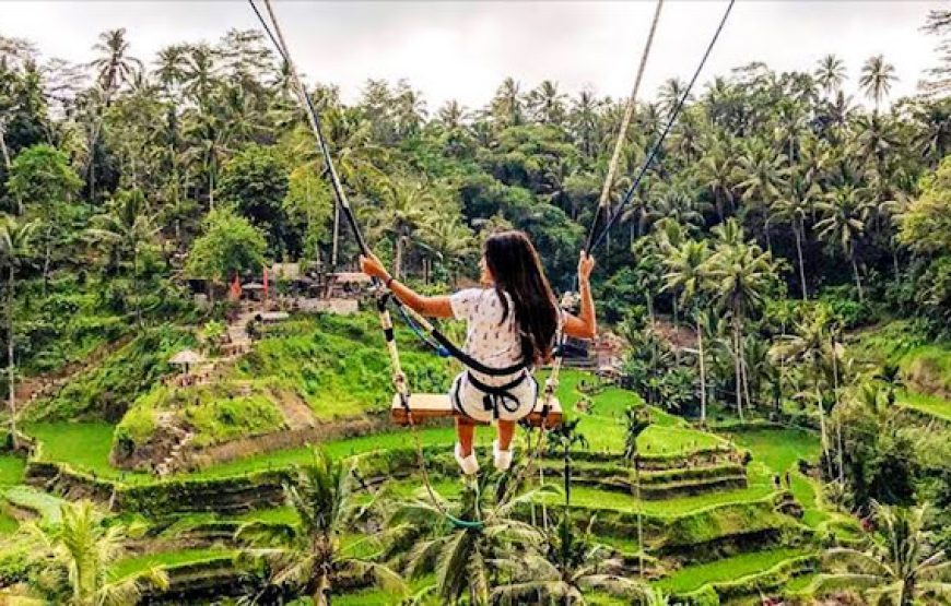 Ubud Swing & Scenic Landscape Experience