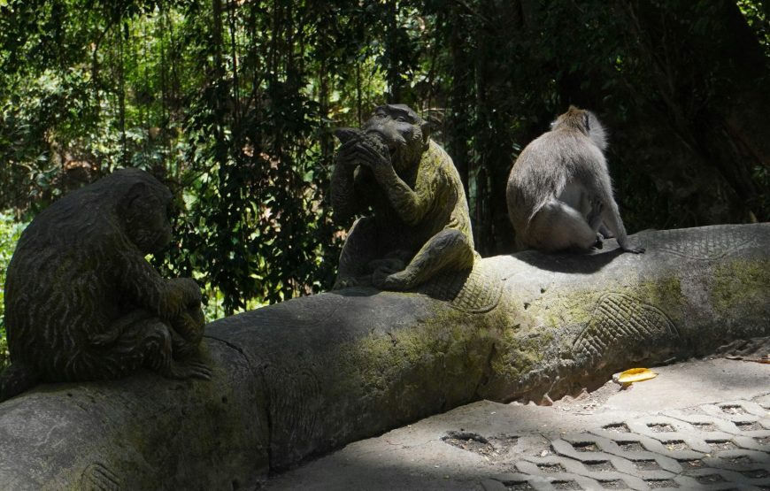 Exclusive Ubud Cultural Tour