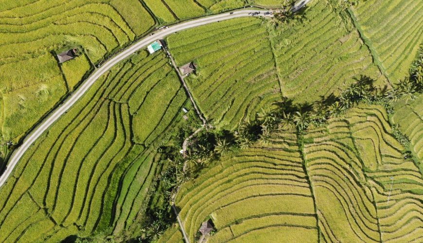 Bali Rice Terraces: Explore the Beauty of Jatiluwih in Tabanan